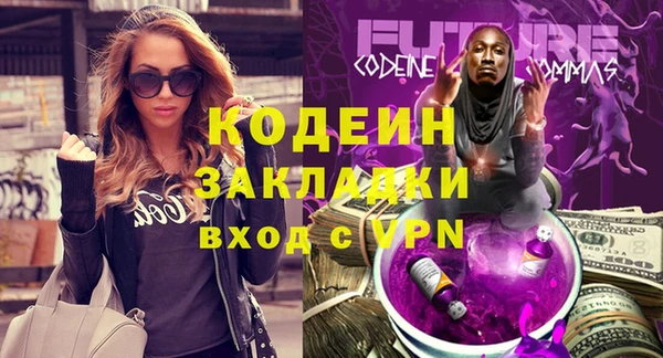 шишки Заволжск