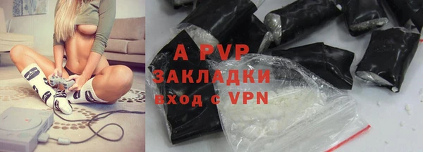 шишки Арсеньев