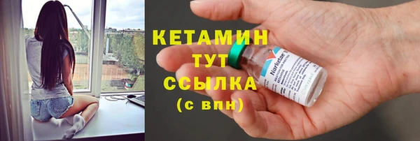 шишки Арсеньев