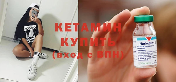 шишки Арсеньев