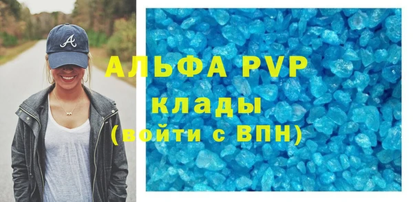 шишки Арсеньев