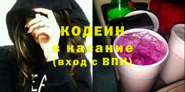 шишки Арсеньев
