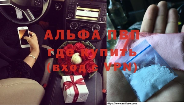 шишки Арсеньев