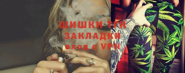 шишки Арсеньев