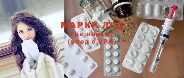 шишки Арсеньев